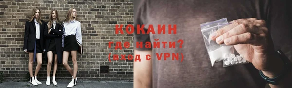 гидра Абаза