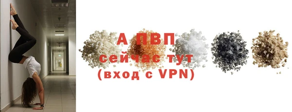 гидра Абаза