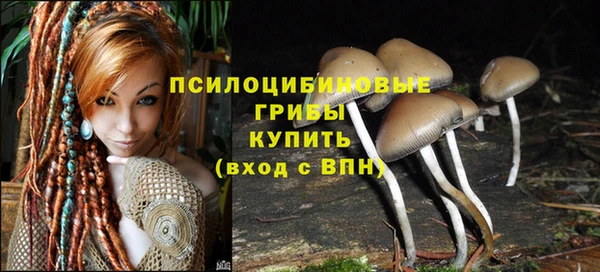 гидра Абаза