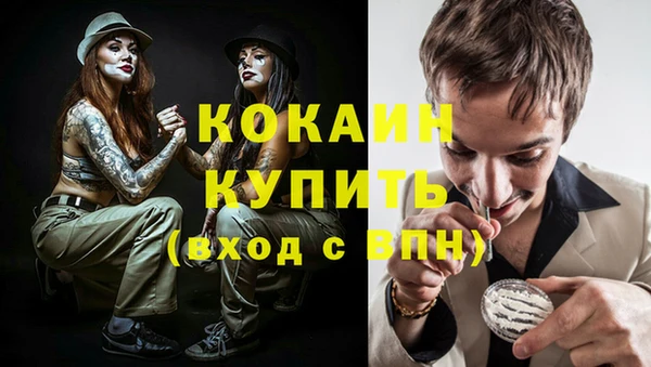 гидра Абаза
