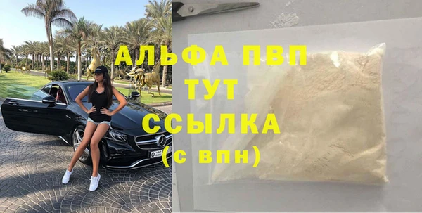 гидра Абаза