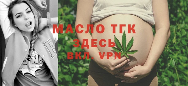 гидра Абаза