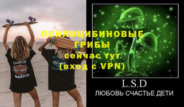 гидра Абаза