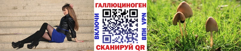 Псилоцибиновые грибы MAGIC MUSHROOMS  Мостовской 